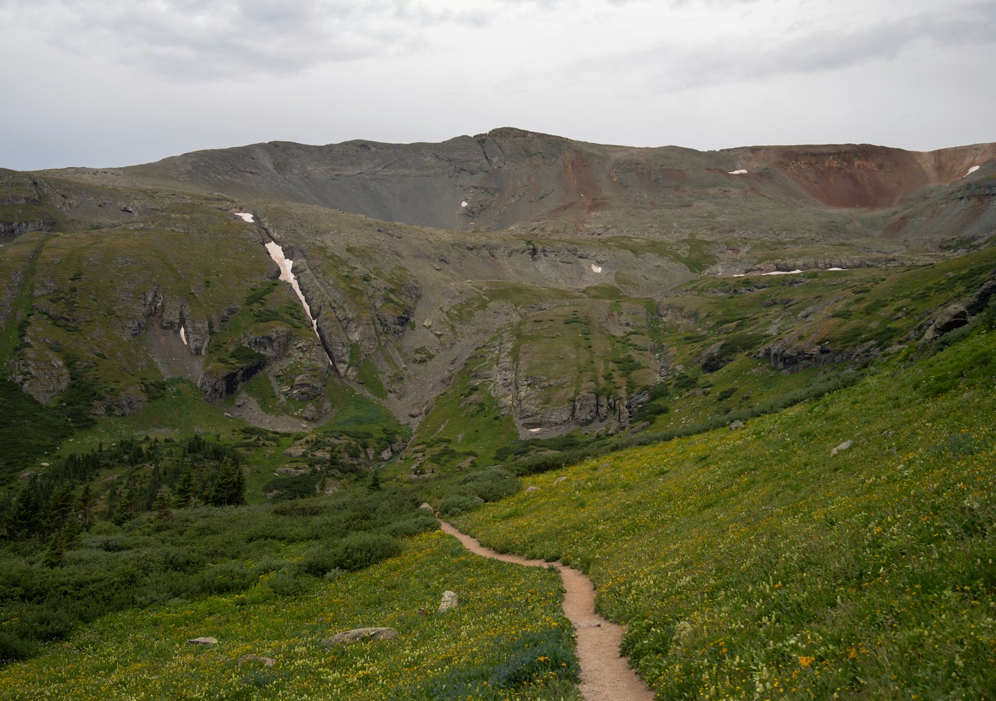 Un sentiero sterrato serpeggia attraverso una valle montana fiorita.